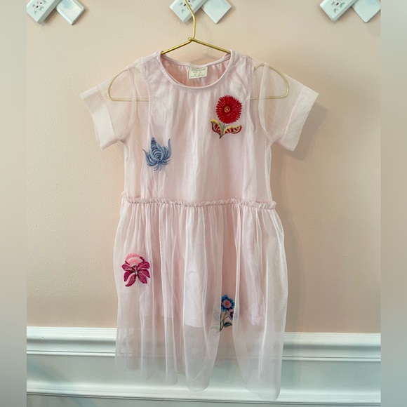 Zara Other - ZARA Dress blush light pink tulle w flower embroidery Size 4T
